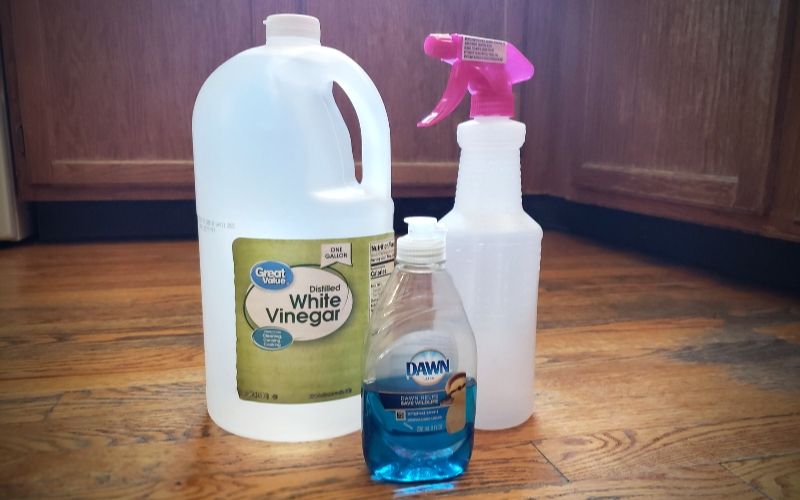 Homemade All-Purpose Cleaner