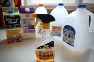Milk Carton Birdhouse For Kids | Frugal Fun Mom