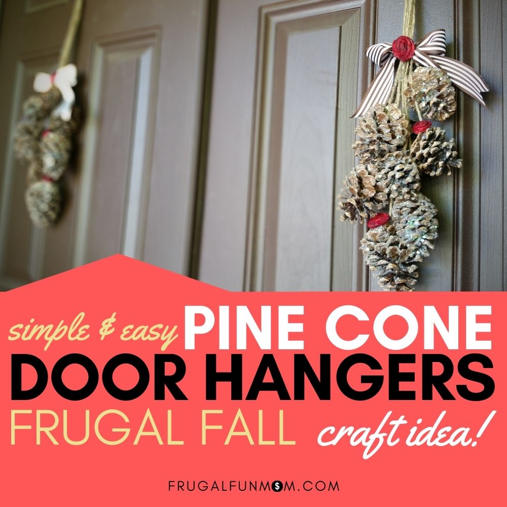 Pine Cones – Small, Medium