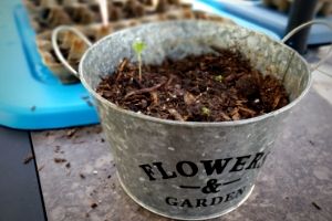 cheap and easy Mother’s Day gifts | Frugal Fun Mom
